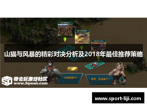 山猫与风暴的精彩对决分析及2018年最佳推荐策略